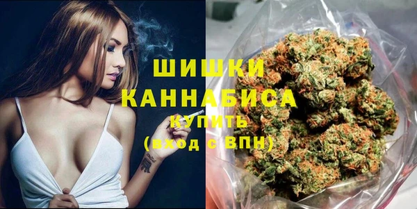 индика Карталы